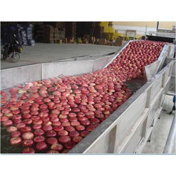 果蔬清洗機(jī) 產(chǎn)品列表第103頁(yè) 