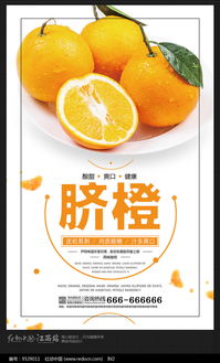贛南特產(chǎn)臍橙水果海報(bào)