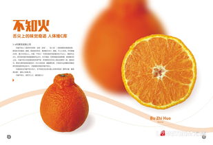 果業(yè)公司畫冊(cè)設(shè)計(jì)印刷定制廠家 水果產(chǎn)品宣傳手冊(cè)加工 果園基地種植招商加盟