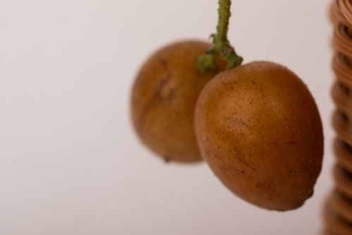 黃皮特寫特產(chǎn)夏季水果美食攝影圖 攝影