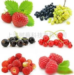 庫(kù)存 蔓越莓價(jià)格 庫(kù)存 蔓越莓廠家  